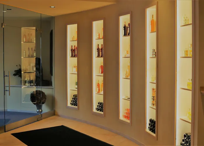 Schweizerhof Hotel 4*